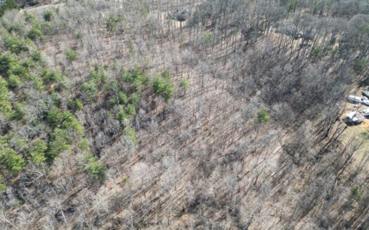 9 Acres of Unrestricted Property & Prime Location in Rocky Mount