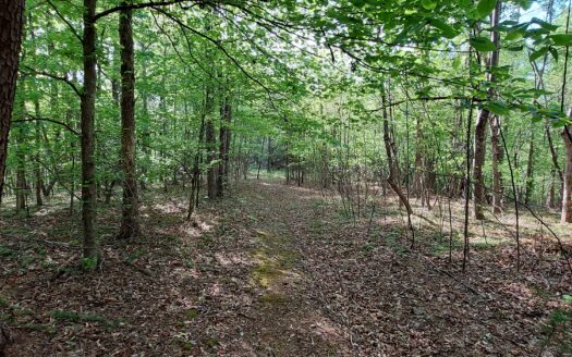 Unrestricted Land Virginia – 30 Acres in Rocky Mount for Sale