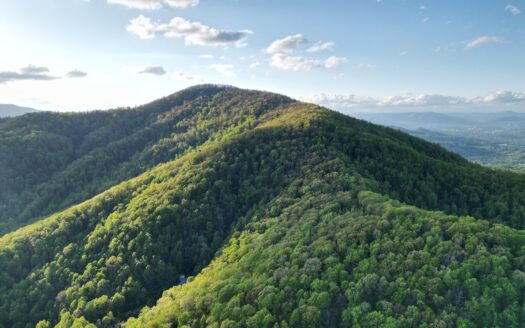 Unrestricted Land Boones Mill – 38 Acres of Privacy & Woods