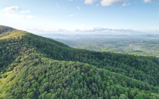 Unrestricted Land Boones Mill – 38 Acres of Privacy & Woods