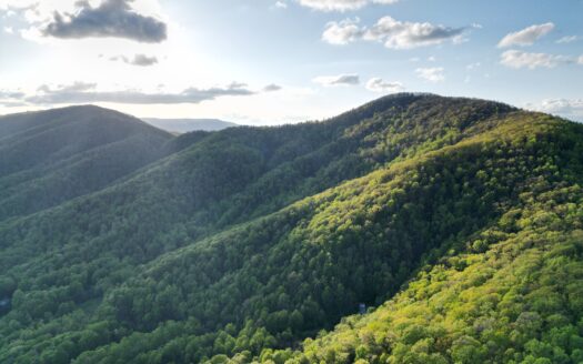 Unrestricted Land Boones Mill – 38 Acres of Privacy & Woods