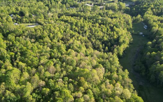 Unrestricted Land Virginia – 30 Acres in Rocky Mount for Sale