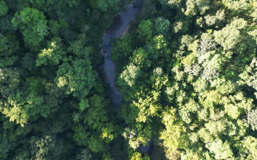 00 Constitution Blvd, Wirtz VA – Liberty Heights Lot with Creek Frontage