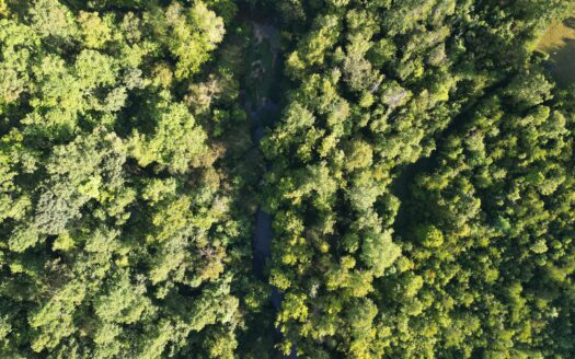 00 Constitution Blvd, Wirtz VA – Liberty Heights Lot with Creek Frontage